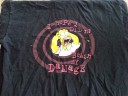 TShirt - I Hope I Didn't Brain My Damage - Black M