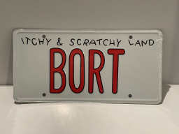 Bort license plate (full size)